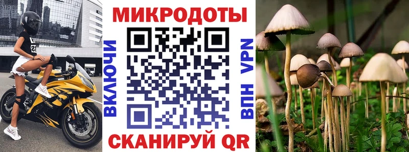 хочу наркоту  hydra маркетплейс  Псилоцибиновые грибы MAGIC MUSHROOMS  Заринск 